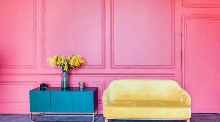 A pink flower is standing in front of a door