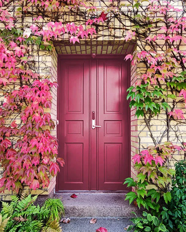 A pink flower in front of a house