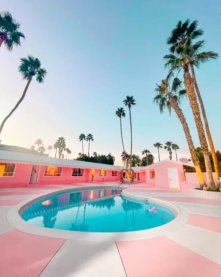 A pool next to a palm tree