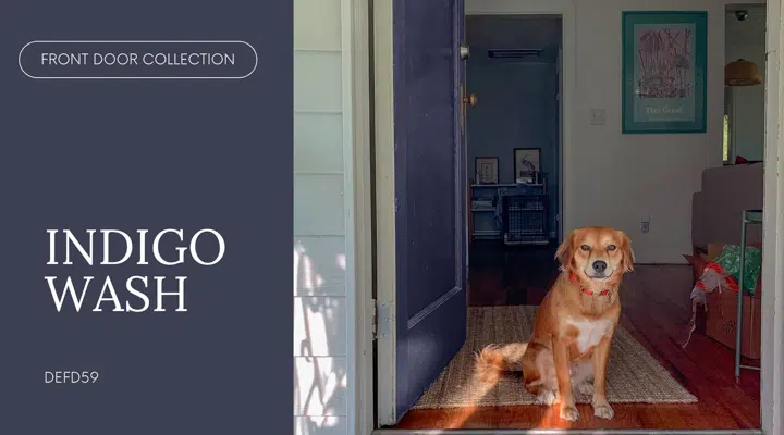 A dog sitting in front of a door