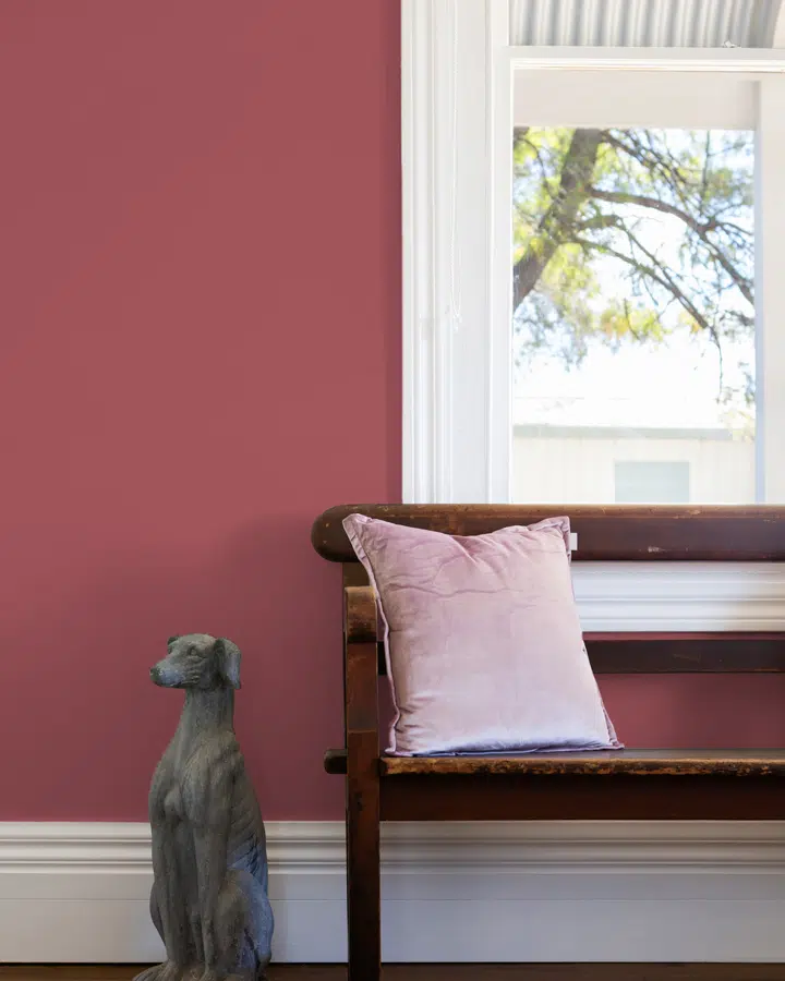 A cat sitting in front of a window