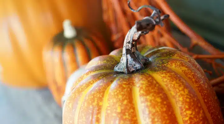 A close up of a fruit