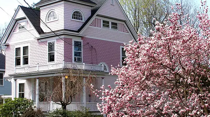 A close up of a flower garden in front of a house