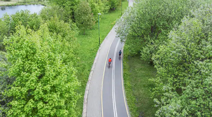 A train traveling down train tracks near a forest