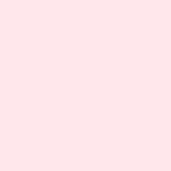 Camelliaページ Camellia-Sasanqua_Shishi-