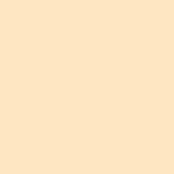 Neutral Peach Paint Color DE5225 | Dunn-Edwards Paints