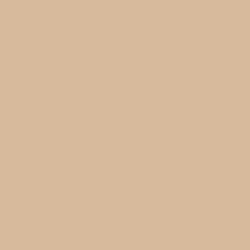 Terracotta Sand Paint Color DE6136 | Dunn-Edwards Paints