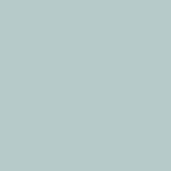 MOJITO PARKA,MAN’S,M-23 ① Berry Mojito Paint Color DET565 | Dunn-Edwards Paints