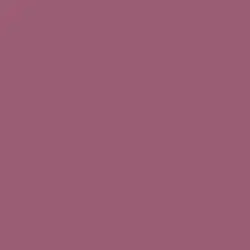 Rosewine Paint Color DE5019