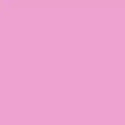 Violet Kiss Paint Color DE5024