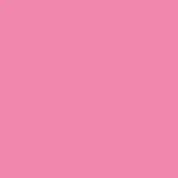 Carnation Paint Color DE5046