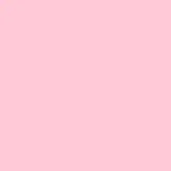 Bubblegum Paint Color DE5072