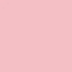 Rose Reminder Paint Color DE5093