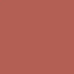 Redwood City Paint Color DE5117