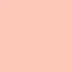 Peach Fuzz Paint Color DE5142