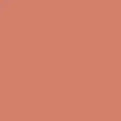 Cinnamon Stick Paint Color DE5151