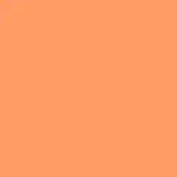 Fresh Cantaloupe Paint Color DE5159