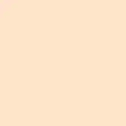 Pale Apricot Paint Color DE5163