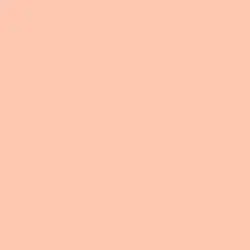 Antique Coral Paint Color DE5170