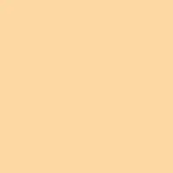 Fresh Apricot Paint Color DE5192