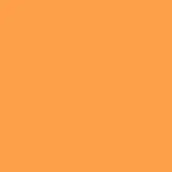 Tangerine Tango Paint Color DE5194