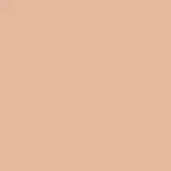 Seasonal Beige Paint Color DE5213