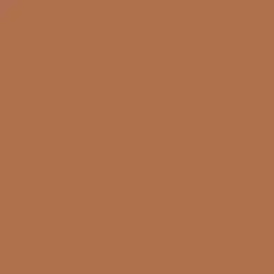 Autumn Umber Paint Color DE5216