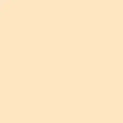 Neutral Peach Paint Color DE5225