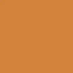 Clay Terrace Paint Color DE5229