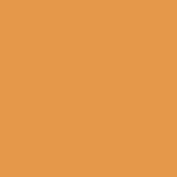 Colorado Peach Paint Color DE5236