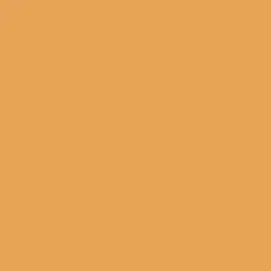 Roasted Squash Paint Color DE5278