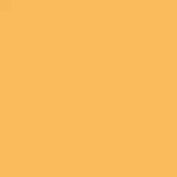 Marigold Paint Color DE5291