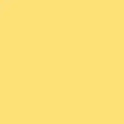 Summer Daffodil Paint Color DE5312