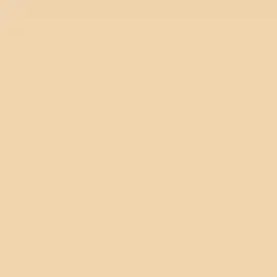 Fine Sand Paint Color DE5324