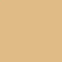 Regency Cream Paint Color DE5325