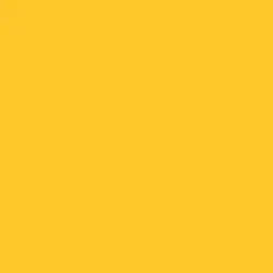 Bumblebee Paint Color DE5342