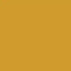 Roman Gold Paint Color DE5356