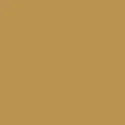 Maple Syrup Paint Color DE5362