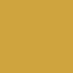 Spicy Mustard Paint Color DE5384