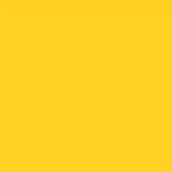 Lemon Punch Paint Color DE5398