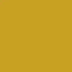 Mustard Seed Paint Color DE5426