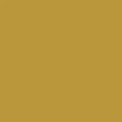 Golden History Paint Color DE5433