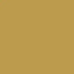 Brown Rum Paint Color DE5439