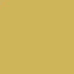 Tanami Desert Paint Color DE5445