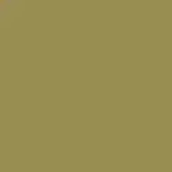 Serpentine Paint Color DE5502