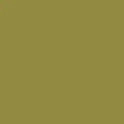 Cider Mill Paint Color DE5510