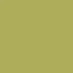 Palm Frond Paint Color DE5522