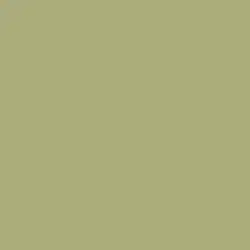 Stuffed Olive Paint Color DE5529