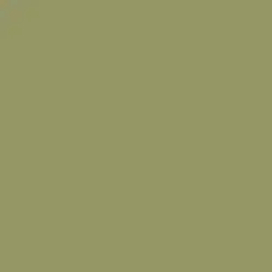 Military Green Color de pintura DE5530