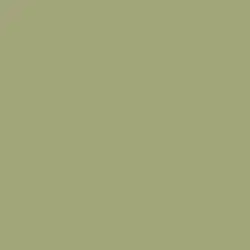 Dill Grass Paint Color DE5536